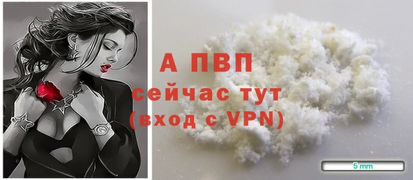 a pvp Белокуриха