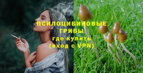 a pvp Белокуриха