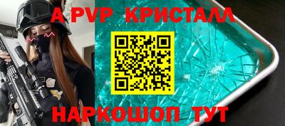 ешки Кингисепп