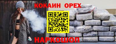 ешки Кингисепп