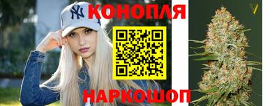 ешки Кингисепп