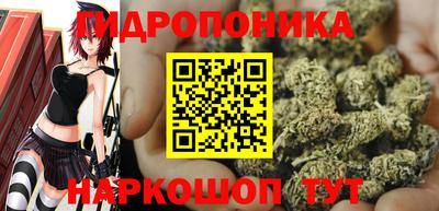 ешки Кингисепп