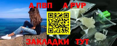ешки Кингисепп