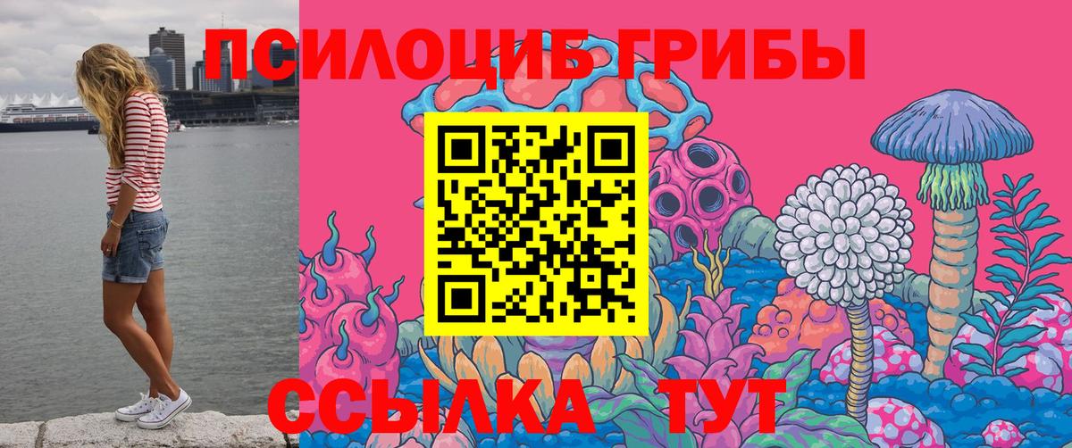 Кувандык  Галлюциногенные грибы Psilocybe  Псилоцибиновые грибы GOLDEN TEACHER  Вход с VPN 